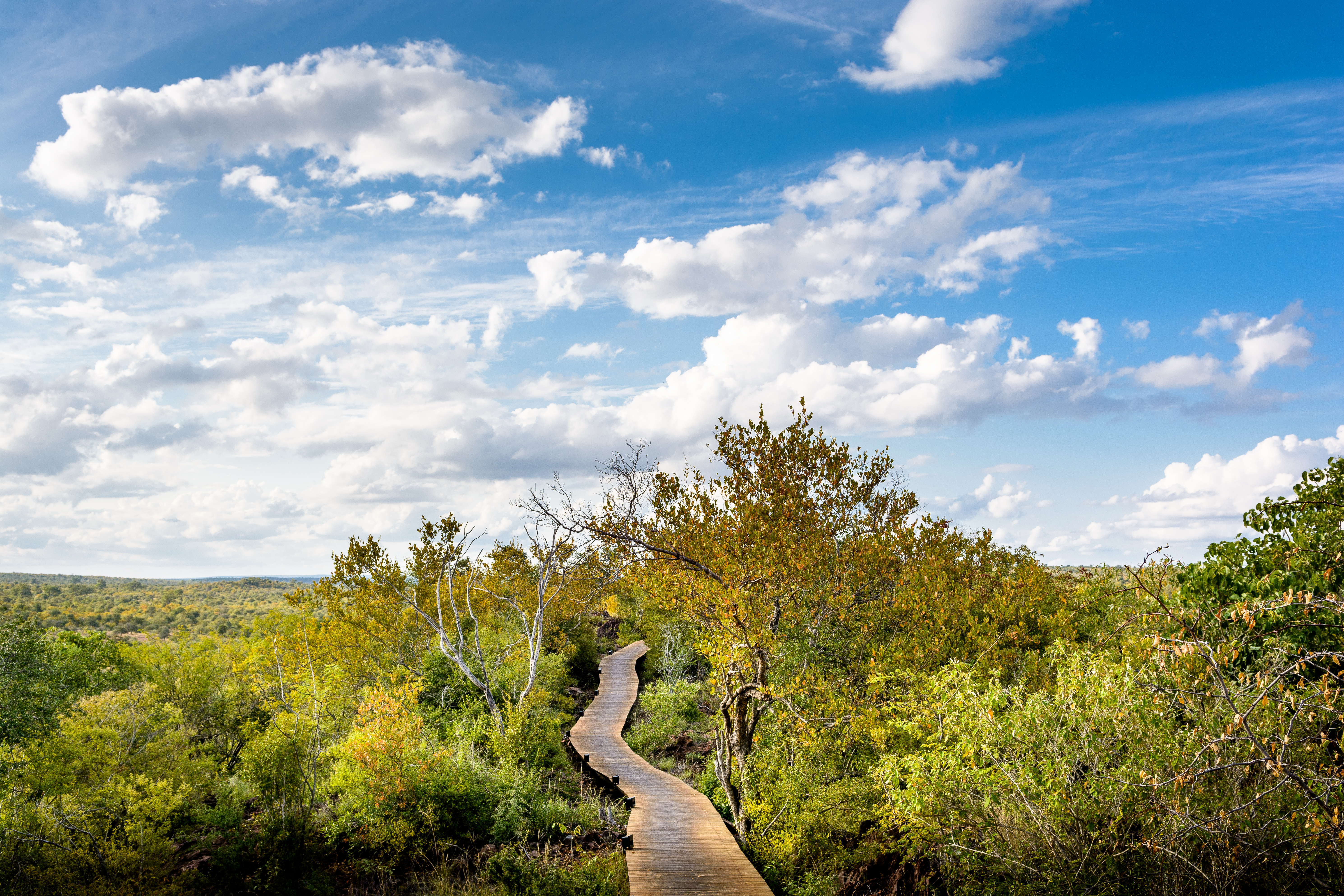 Singita Lebombo Lodge