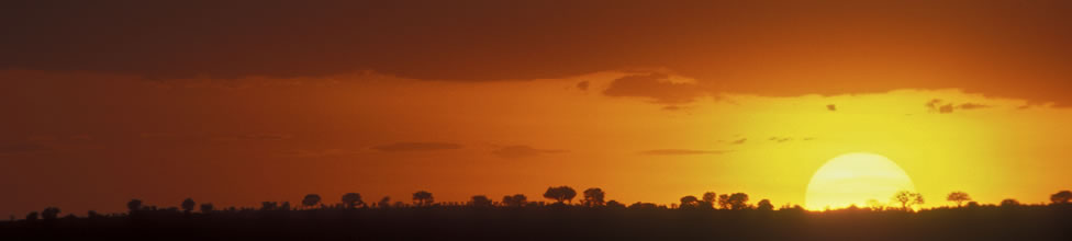 Kanga Bush Camp