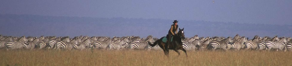 Offbeat Riding Safaris