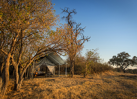 Machaba Camp Tented Suite
