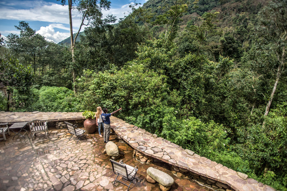 Bwindi Lodge Terrace