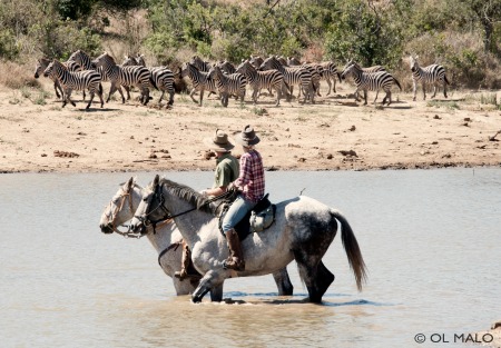 Riding, Walking and Camel safaris