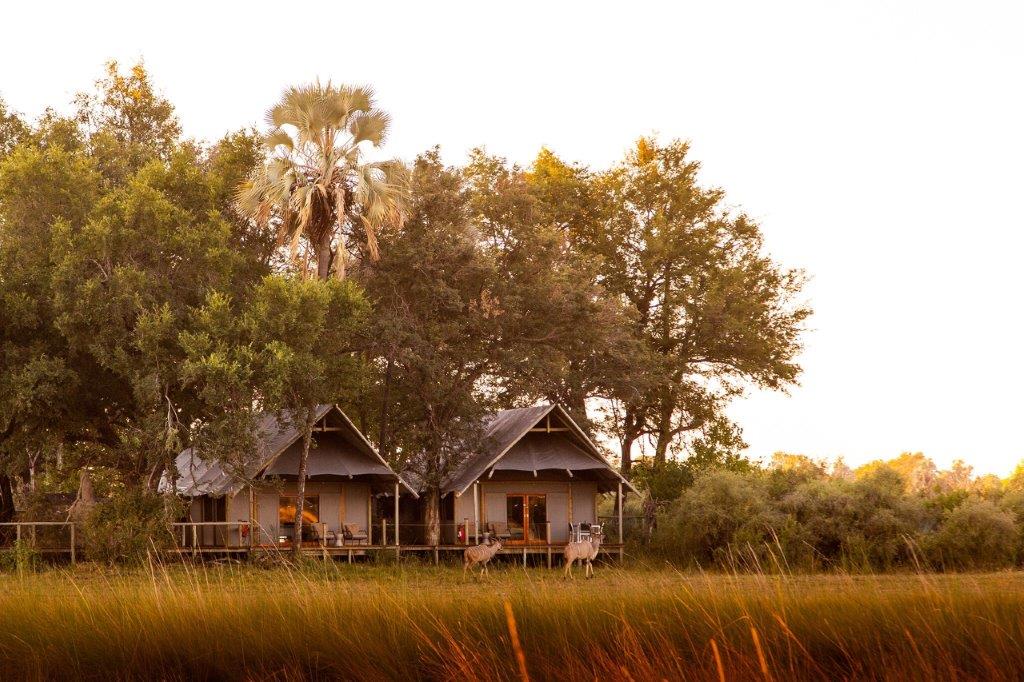 Family Room : Chitabe Lediba, Okavango Delta,